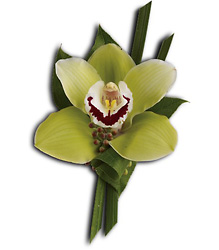 Green Orchid Boutonniere from Olney's Flowers of Rome in Rome, NY